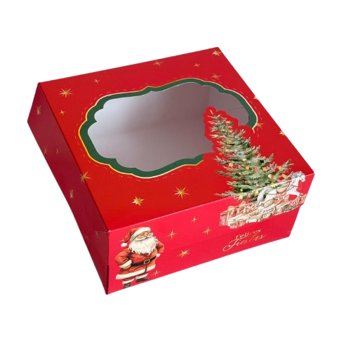 CAJA SUR PANETONE 20X10 2025