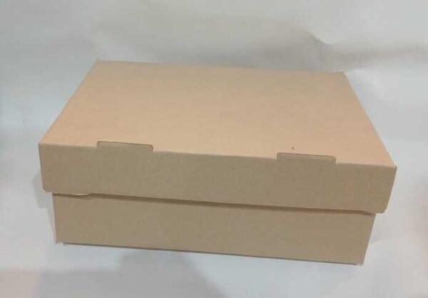 CAJA VAN M/M PERIQUITA 27X20X10.5 X UNID