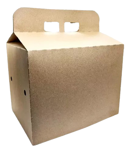 MALETIN DPK DELIVERY FAMILI BOX