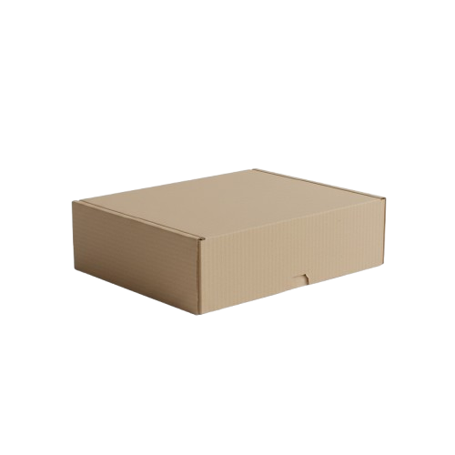 image-removebg-preview-2025-09-13T095920.000.png CAJA CACIQUE 18 EMP M/M 25X32X6 UNID