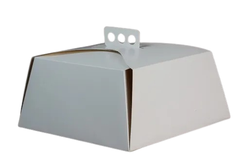 MALETIN SUR P/TORTA 27X27X10 X UNID