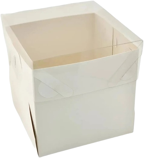 CAJA SC MINI TORTA ACETATO 17X16X15