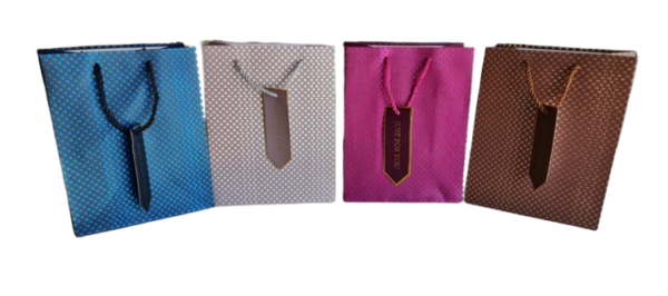 image-removebg-preview-5-4.png BOLSA DE REGALO VARIOS MOTIVOS CON MANIJA CORDON 32X26X10
