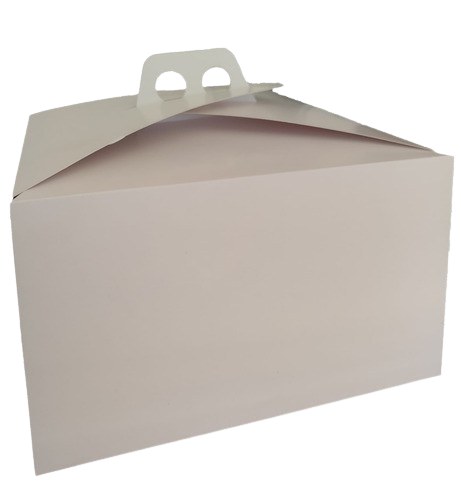 MALETIN SUR P/TORTA 30X30X15