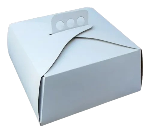 MALETIN SUR P/TORTA 25X25X15