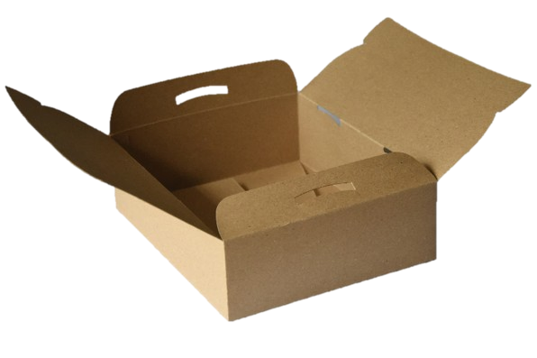 CAJA DPK DELIVERY 2 COMBO M/M 21X25X7