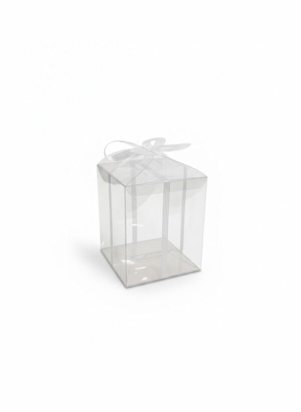 CAJA CQ NAVIDAD PVC VARIOS MODELOS
