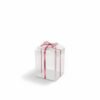CAJA CQ NAVIDAD PVC VARIOS MODELOS