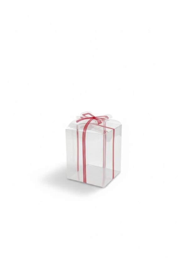 CAJA CQ NAVIDAD PVC VARIOS MODELOS