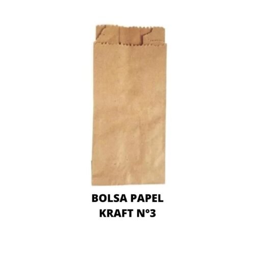 BOLSA PAPEL KRAF 3