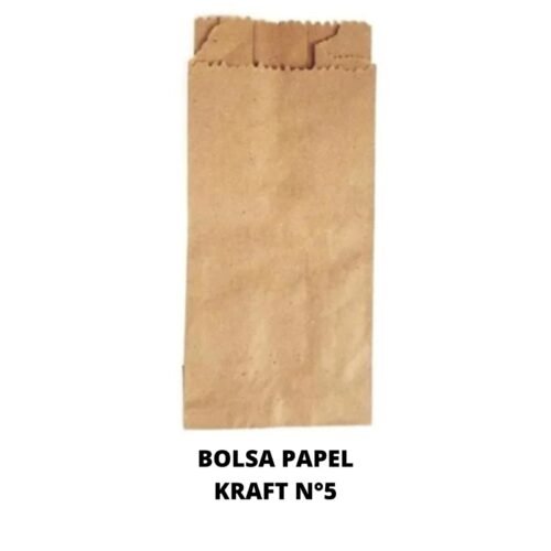 BOLSA PAPEL KRAF 5