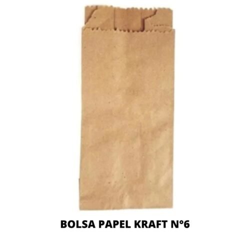 BOLSA PAPEL KRAF 6