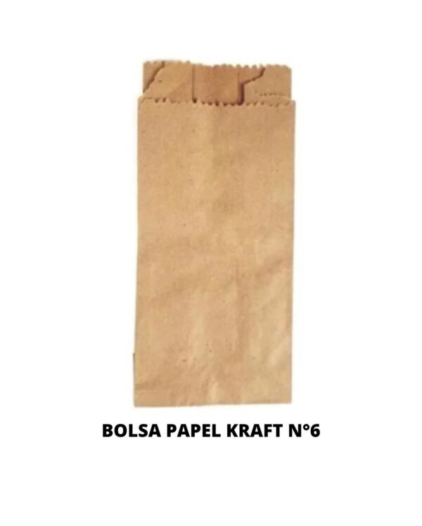 BOLSA PAPEL KRAF 6