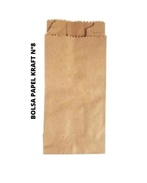 BOLSA PAPEL KRAF 8