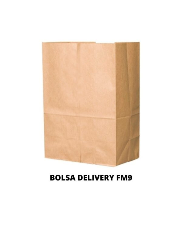 BOLSA DELIVERY KRAF FM9 26X38X12