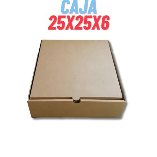 CAJA EDG M/M 25X25X6 UNID