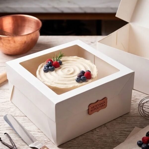 CAJA IMPORTADA DRIP CAKE CON VISOR 19X19X15