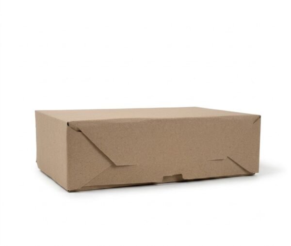 CAJA MEDORO MULTIUSO TAKE AWAY 23X12X5.5