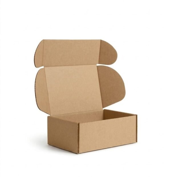 CAJA VAN M/M 23X16X9